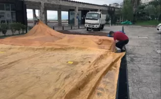 Yağışlar  fındık üreticilerini olumsuz etkiledi
