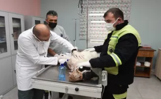 Yaralı köpeğe sevgi dolu bakım
