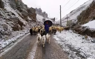 Yaylacılar kar yağışı ile birlikte dönüşe geçti
