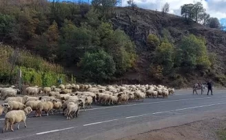 Yayladan dönüş başladı
