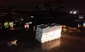 Yenikapı’da su ürünleri denetiminde 25 kasa lüfere el konuldu
