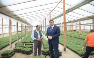 Yerli üretim, yüzde yüz hibeli ata tohumu
