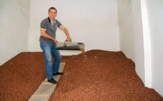 Yılın son gününde fındık fiyatı 30 TL
