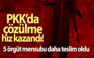 Terör örgütü PKK’da çözülme hız kazandı