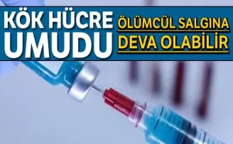 Ercüment Ovalı korona virüse çare bulabilecek mı?