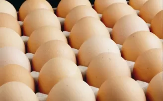 Yumurta üretimi 2 milyarı aştı