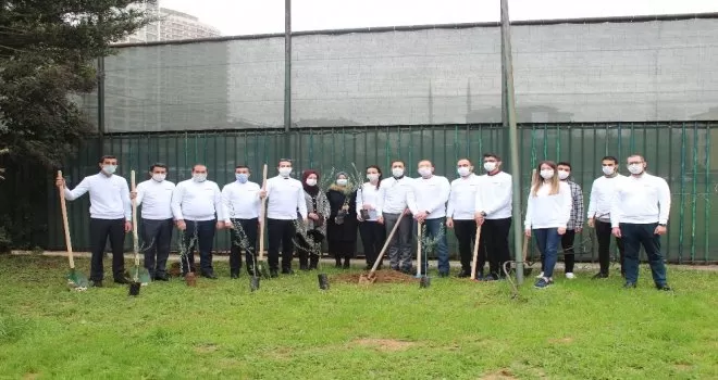 15 bin zeytin fidanı toprakla buluştu
