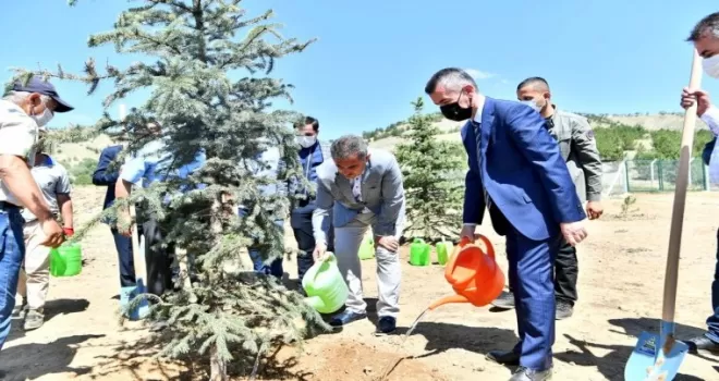 251 şehit anısına 251 ağaç toprakla buluştu
