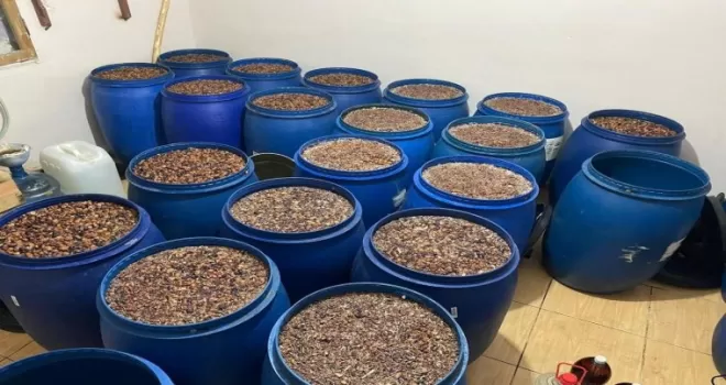 81 ilde “ZEHİR-2” kod isimli operasyon başlatıldı