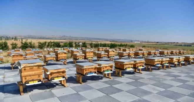 ABB’den arıcılığa büyük destek