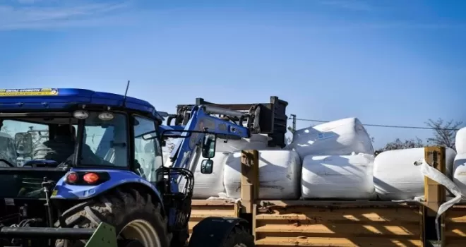 ABB’den üreticiye mısır silajı desteği