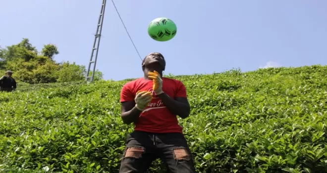 Afrikalı çay işçileri molada futbol oynuyor!