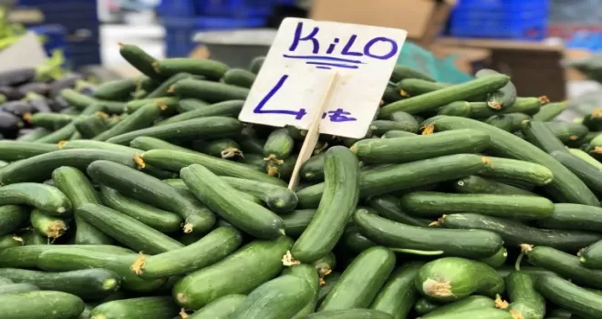 Salatalık 4 lira ile rekor kırdı!