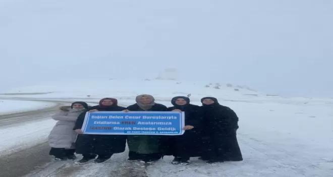 AK Parti Heyeti Diyarbakır Anneleriyle Buluşuyor... 