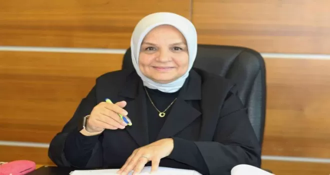 AK Parti’li Keşir: "Görmezden geliyorlar ve kamuoyuna yalan söylüyorlar"
