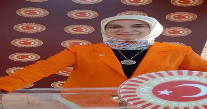 AK Parti Milletvekili Gürel’den “Baro” açıklaması
