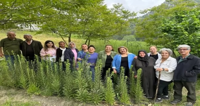 Ak Zambaklar gelişiyor, kadınlar güçleniyor