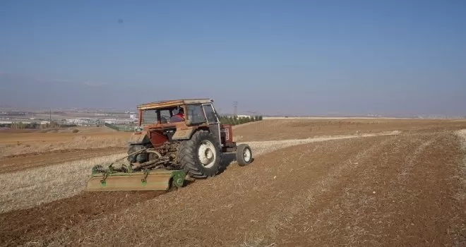 Akyurt’a 25 dönümlük meyve bahçesi
