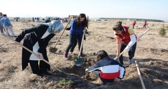 Akyurt’ta her can için bir fidan dikilecek
