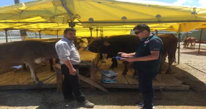 Alıcı ve satıcılara kurbanlık uyarısı
