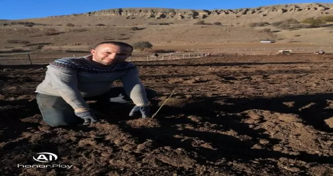 Alucra’ya 6 adet meyve bahçesi kuruluyor

