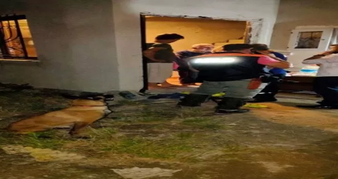 Alzheimer hastası kayıp şahsı iz takip köpeği buldu
