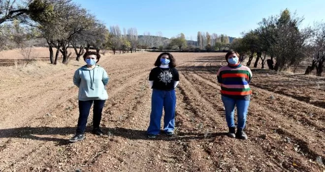 Ankara Büyükşehir Belediyesi boş arazileri tarıma kazandırıyor
