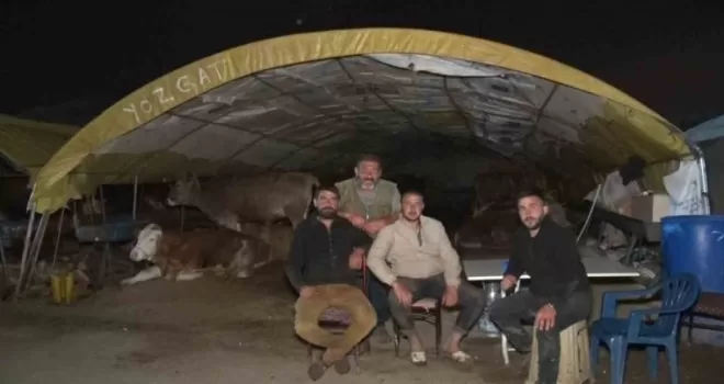 Ankara’da kurban pazarlarında gece zor geçiyor
