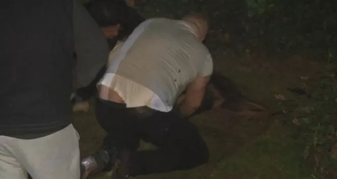 Ankara’da yangın çıkan evdeki köpek ‘Eva’ kalp masajıyla kurtarıldı
