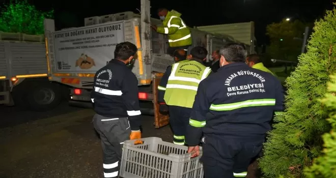 Ankara’dan gönderilen fidanlar Hatay’a can olacak
