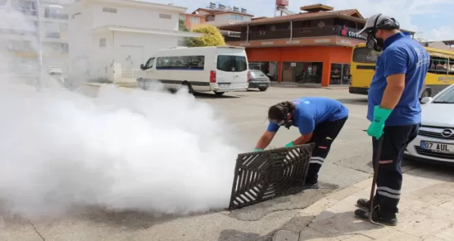 Antalya’da 19 ilçede yoğun vektörle mücadele