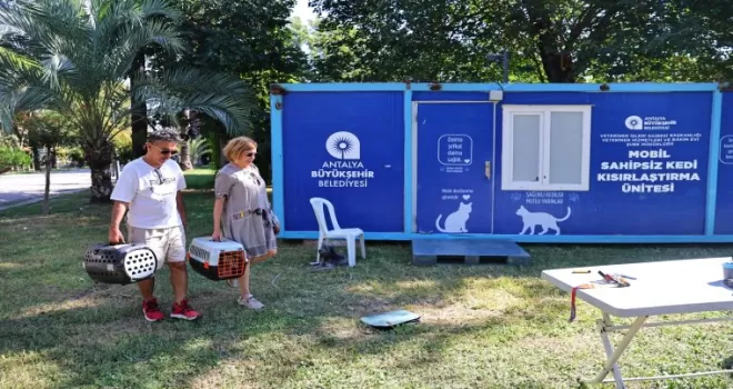 Antalya’da hayvan dostu çalışmaları sürüyor