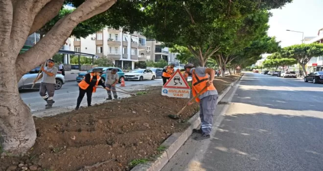 Antalya’da kurakçıl peyzajla yeşil dokunuş