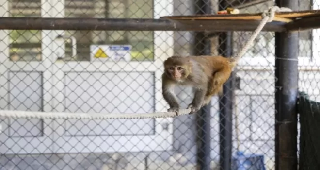 Antalya Döşemealtı’na 123 kilometrelik dev altyapı yatırımı