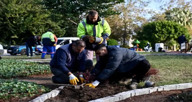 Antalya Muratpaşa’da Trafik Parkı çiçek bahçesine dönüştü
