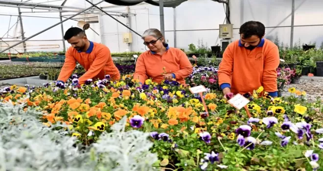Antalya Muratpaşa’dan sürdürülebilir üretim modeli