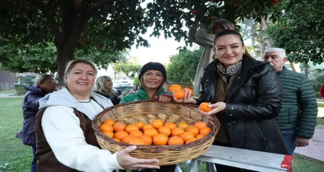 Antalya’nın turunçları kadın emeğiyle sofralara uzanıyor