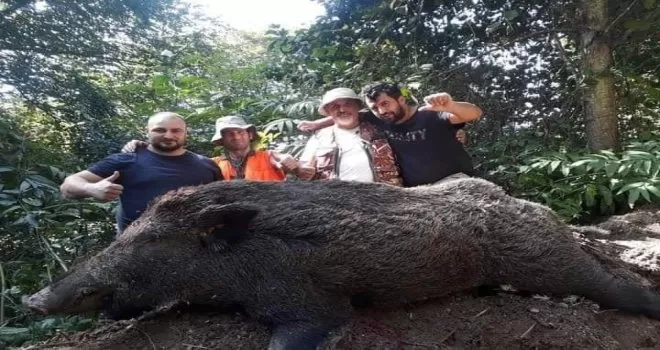 Araklılı avcılar 400 kiloluk domuza acımadı
