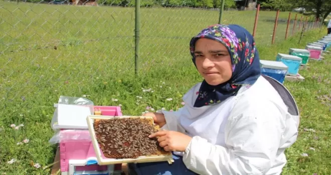 Arıcılık yaparak kızlarını okutuyor
