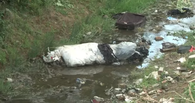 Arnavutköy’de haşere yuvasına dönen dere mahalleliyi isyan ettirdi
