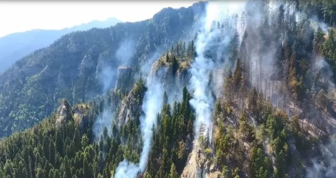 Artvin’de 8 gündür süren orman yangınında soğutma çalışmalarına başlandı
