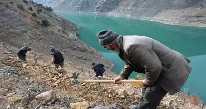 Artvin’de baraj havzaları ağaçlandırılıyor