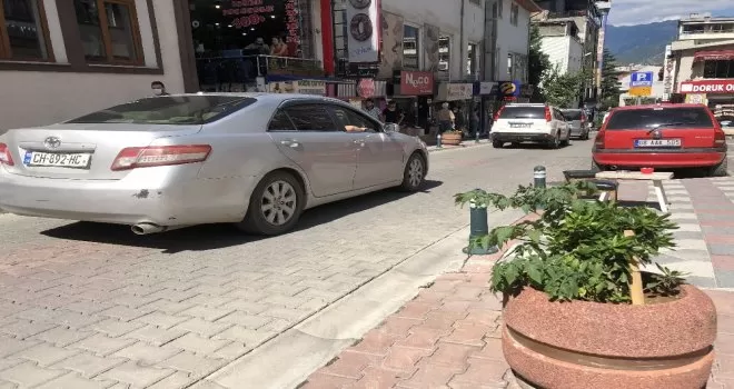 Artvin’de bir grup esnaf cadde üzerindeki çiçekliklere domates ekti
