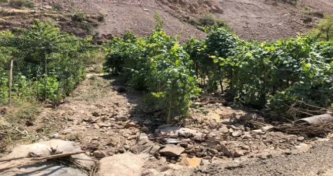 Artvin’de heyelan nedeniyle 14 köy yolu ulaşıma kapandı
