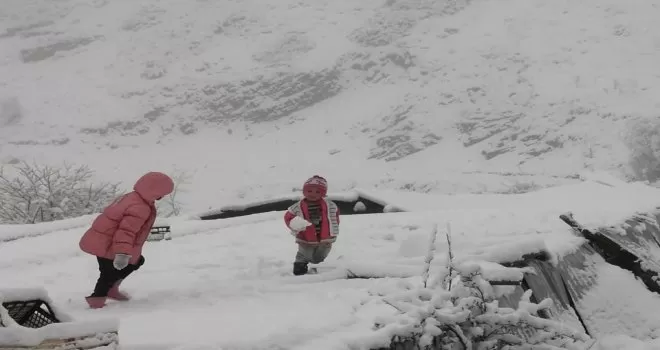 Artvin’de Mayıs ayında kar yağdı, hayvancılıkla uğraşanlar zor anlar yaşadı
