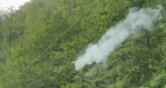 Artvin’de şiddetli rüzgar ağaçları devirdi
