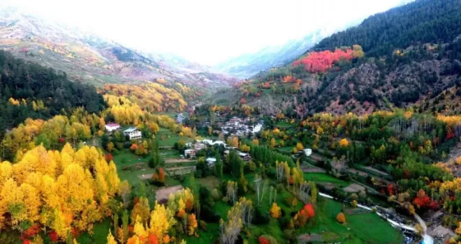 Artvin’de sonbaharın gelişiyle renk cümbüşü yaşanıyor