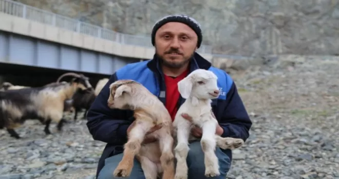 Artvin’de yayla göçü başladı
