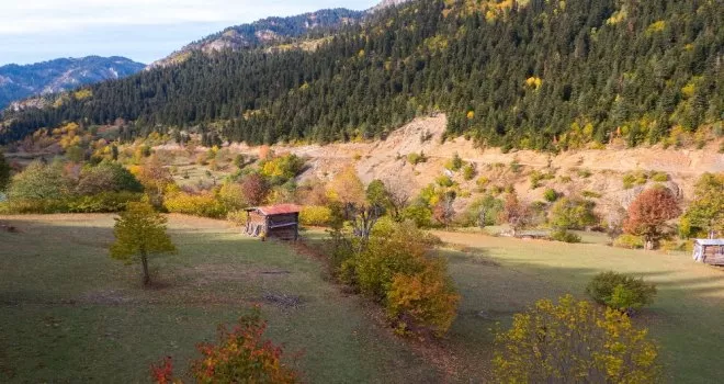 Artvin’den sonbahar manzaraları
