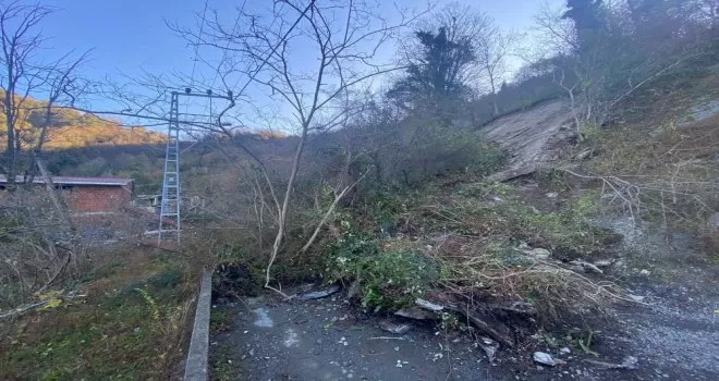 Artvin’in Hopa ilçesindeki heyelan korkuttu